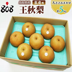 【送料無料】【鳥取県産】家庭用 王秋梨 大きさおまかせ 約5kg(北海道沖縄別途送料加算)