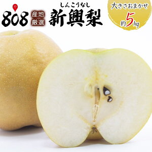 yzyYnIzVi񂱂Ȃj@傫܂@5kgikCʓrZj