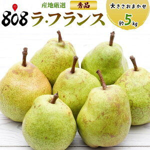 【送料無料】【産地厳選】秀品 ラフランス 大きさおまかせ 約5kg(北海道沖縄別途送料加算)