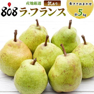 yzyYnIz󂠂@tX@傫܂@5kg@(kCʓrZ)