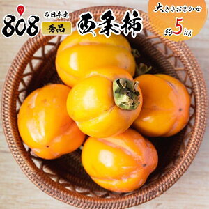 【送料無料】【西日本産】秀品 西条柿 大きさおまかせ 約5kg(北海道沖縄別途送料加算)