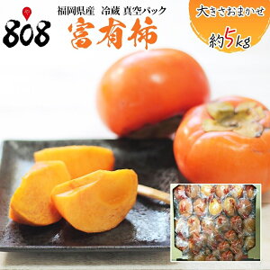 �y���������z�y�������Y�z�① �x�L�` �^��p�b�N ��p�b�N �傫�����܂����@1���@��5kg(�k�C������ʓr�������Z)