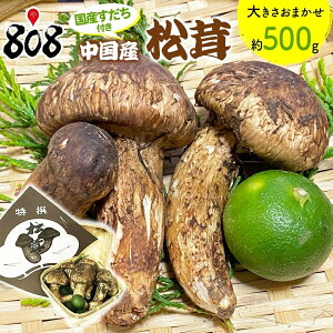 yzyYz pJS Yt 傫܂ 100g@200g@300g@400g@500g(kCʓrZ)