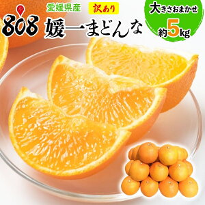 yzyӂ邳Ɣ[łɂI΂ꂽzyQYz󂠂 Q܂ǂ 傫C 5kg(kCʓrZ)