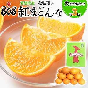 yzyQYzg܂ǂ 傫܂ 3L`4LTCY ϔ 3kg(kCʓrZ)