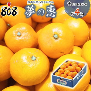 yzyF{Yžb@傫C@4kg(kCʓrZ)