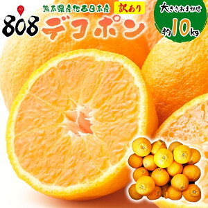 �y���������z�y�����{�Y�z�󂠂� �f�R�|�� �傫�����C�� 10kg(�k�C������ʓr�������Z)