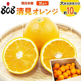 【送料無料】【西日本産】訳あり　清見オレンジ　大きさおまかせ　約10kg(北海道沖縄別途送料加算)