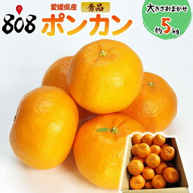 【送料無料】【愛媛県産】秀品 ポンカン 大きさおまかせ 約5kg(北海道沖縄別途送料加算)
