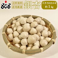 【送料無料】【産地厳選】銀杏　約1kg（北海道沖縄別途送料加算）
