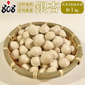 【送料無料】【産地厳選】銀杏　約1kg（北海道沖縄別途送料加算）
