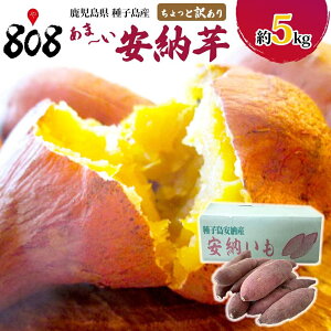 yzyqYzƖ󂠂@܁`[@5kg(kCʓrZ)