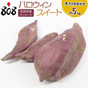 yzyYznEBXC[g@傫C@5kg(kCʓrZ)