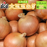 【送料無料】【北海道産】大玉玉ねぎ　L〜2Lサイズ　約5kg 約10kg 約20kg(北海道沖縄別途送料加算)