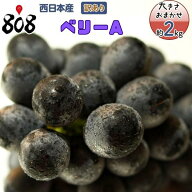 【送料無料】【西日本産】訳あり　ベリーA　大きさおまかせ　種無しぶどう　1箱　約2kg(北海道沖縄別途送…
