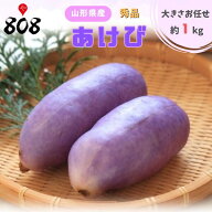 【送料無料】【山形県産】秀品 あけび 木通（アケビ）大きさおまかせ 4～9玉前後 約1kg(北海道沖縄別途送…