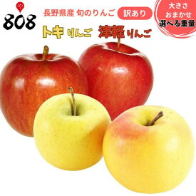 【送料無料】【長野県産】訳あり　トキりんご　津軽りんご　他　旬のリンゴ　色　大きさお任せ　約4kg　約8kg(北海道沖縄別途送料加算)