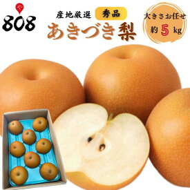 【送料無料】【産地厳選】秀品　あきづき梨　大きさおまかせ　約5kg(北海道沖縄別途送料加算)