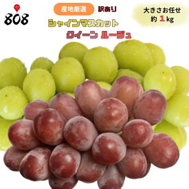 【送料無料】【産地厳選】訳あり シャインマスカット クイーンルージュ 詰め合わせ 大きさおまかせ 約1kg(北海道沖縄別途送料加算)