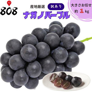 yzyYnIz󂠂 iKmp[v 傫܂ 1kg(kCʓrZ)