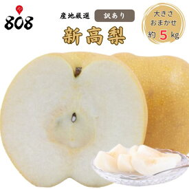 【送料無料】【産地厳選】訳あり　新高梨　大きさおまかせ　約5kg(北海道沖縄別途送料加算)