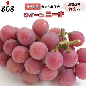 yzyYnIzNC[j[i@傫܂@܍@1kg(kCʓrZ)