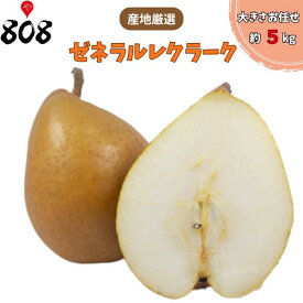 【送料無料】【産地厳選】ゼネラル・レクラーク 西洋梨 洋なし 約5kg 大きさお任せ ようなし 産地厳選　(北海道沖縄別途送料加算)