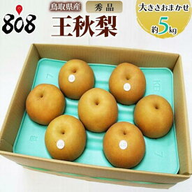 【送料無料】【鳥取県産】秀品 王秋梨 大きさおまかせ 約5kg(北海道沖縄別途送料加算)