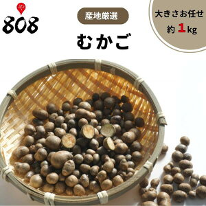 yzyYnIzނ@傫C 1kg(kCʓrZ)