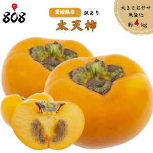 yzyQYz󂠂 V`@傫܂@܍4kg(kCʓrZ)