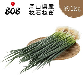 【岡山県産】牧石ネギ　約1kg【野菜詰め合わせセットと同梱で送料無料】【送料別】青ネギ/敬老の日/お歳暮/歳暮/高品質/味噌汁/スープ/野菜宅配/母の日/父の日/敬老の日