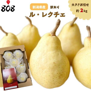 yzyVYzL N`F ƒp 傫C 2kg(kCʓrZ)