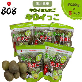 【送料無料】【香川県産】キウイっこ　キウイのたまご 大きさおまかせ 約200g×5パック(北海道沖縄別途送料加算)