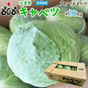 【送料無料】【産地厳選】低農薬 キャベツ 1箱 大きさお任せ 約10kg(北海道沖縄別途送料加算)