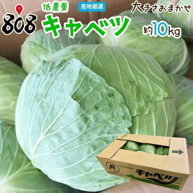 【送料無料】【産地厳選】低農薬 キャベツ 1箱 大きさお任せ 約10kg(北海道沖縄別途送料加算)