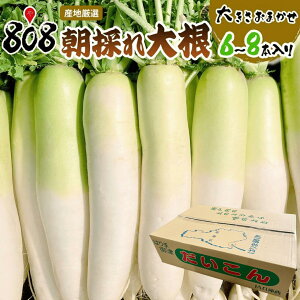 yzyYnIẑ卪@傫܂@1@6{`8{(kCʓrZ)