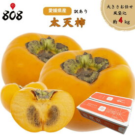 【送料無料】【愛媛県産】訳あり 太天柿　大きさおまかせ　風袋込約4kg(北海道沖縄別途送料加算)
