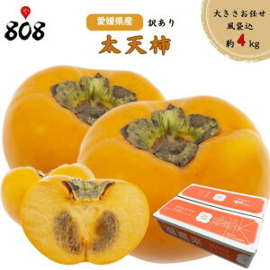 yzyQYz󂠂 V`@傫܂@܍4kg(kCʓrZ)