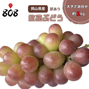 yzyRYzԂǂ@傫܂@󂠂@1kg(kCʓrZ)