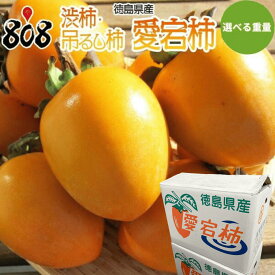 【送料無料】【徳島県産】渋柿・吊るし柿　愛宕柿　約5kg 約10kg(北海道沖縄別途送料加算)