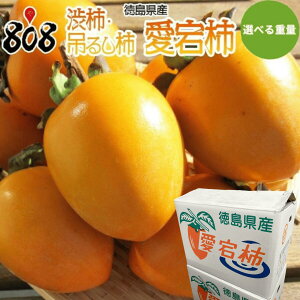 yzyYza`E݂邵`@`@5kg 10kg(kCʓrZ)