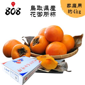 【送料無料】【鳥取県産】訳あり 花御所柿 ご自宅用 大きさおまかせ 約4kg(北海道沖縄別途送料加算)