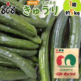 【送料無料】【宮崎県　愛媛県他　西日本産】産地直送 きゅうり 1箱　約5kg入(北海道沖縄別途送料加算)