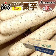 【送料無料】【青森県、北海道、岩手他産地厳選】訳あり　長芋　大きさお任せ 約10kg(北海道沖縄別途送料…