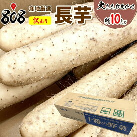 【送料無料】【青森県、北海道、岩手他産地厳選】訳あり　長芋　大きさお任せ 約10kg(北海道沖縄別途送料加算)