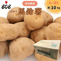 楽天市場】じゃがいも10㎏の通販