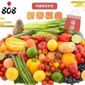 【送料無料】【赤字覚悟】2026新春福袋　中身おまかせ(北海道沖縄別途送料加算)