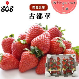 【送料無料】【奈良県産】古都華いちご　ことか　 1箱 約300g×2パック (北海道沖縄別途送料加算)