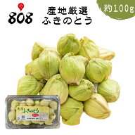 【送料無料】【産地厳選】ふきのとう　1パック　約100g【ネコポス】野菜宅配/母の日/父の日/敬老の日