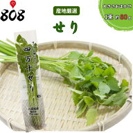 【送料別】【産地厳選】せり　1束　約80g【野菜詰め合わせセットと同梱で送料無料】【送料は注文後に個数…